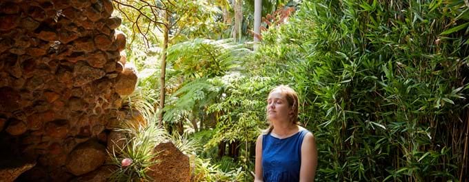 aboriginal heritage tour royal botanic gardens