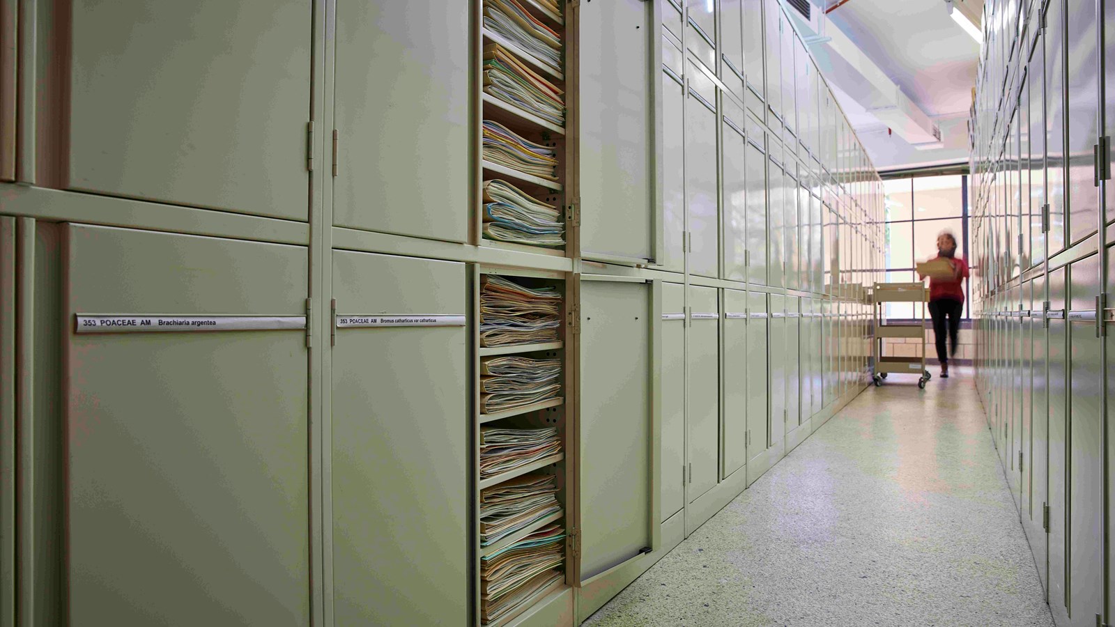 Two rows of metal cream-coloured metal cupboards, with thin paper labels on each door. The doors of two cabinets are open, with paper folders showing inside. At the far end of the aisle, a blurry person carrying a pile of folders approaches a trolley.