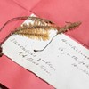 Three delicate pieces of fern-like moss sit near a handwritten white paper label. The specimen and label are inside an open red folded paper packet.