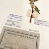 A plant fragment with dull green leaves and pale pink flowers is attached to card and surrounded by a mix of printed and handwritten labels.