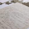 A cream coloured piece of paper with densely written in notes in neat German handwriting. The paper is sitting over the top of a pressed plant specimen, which can be seen in the background.