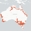 A simplified map of the Australian continent shows Mueller’s collecting locations with red dots. They are concentrated and overlapping at the edges of the continent, especially in Victoria, while the centre is bare save the lines denoting state boundaries.