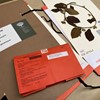 A folder of heavy brown board with untied strips of black fabric tape sits alongside a folded red paper packet and a pressed and mounted plant specimen.